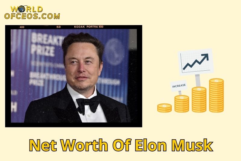 Elon Musk Net Worth Insights and Latest Figures 2024