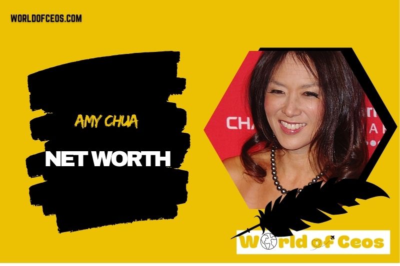 Amy Chua Net Worth 2024: Financial Success of Yale Professor and Author